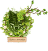 L'Eden des Sorcières